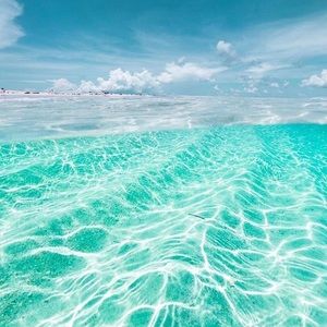 Meet your Posher, Cassandra